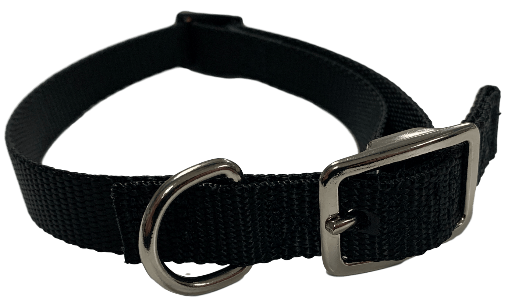 Flat Buckle Dog Collar (Adjustable) McCann Professional Dog Trainers
