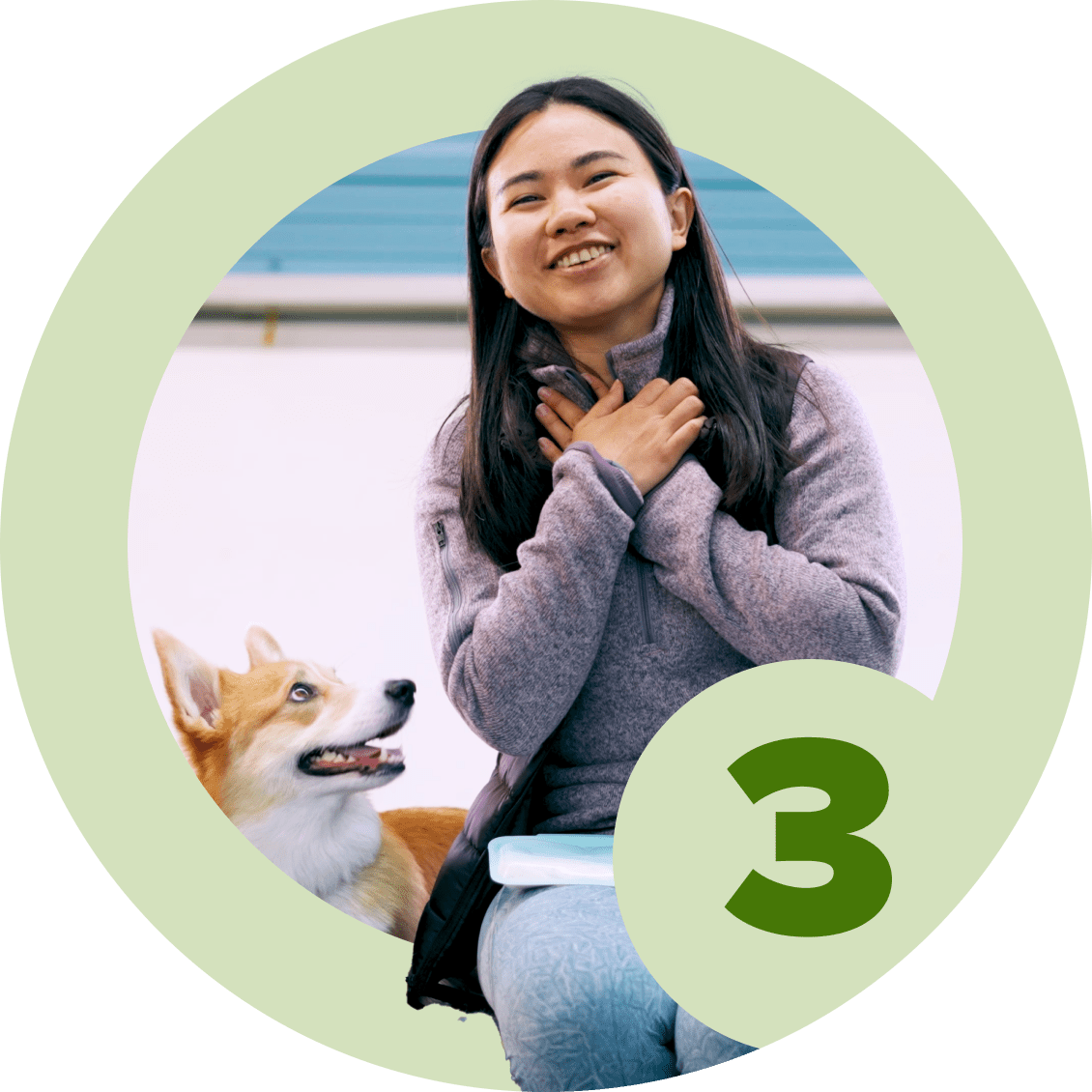 Life Skills 3 - McCann Professional Dog Trainers