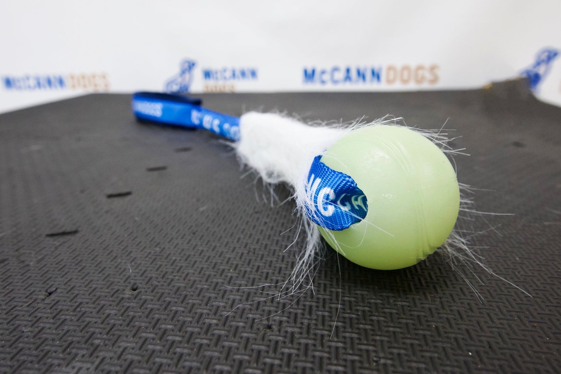 McCann Dogs Fuzzy Ball Tug Toy - McCann Professional Dog Trainers