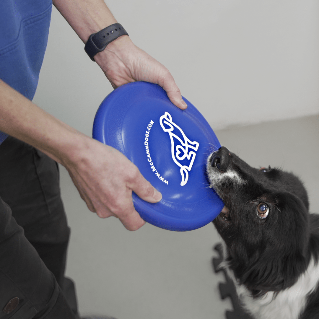 McCann Dogs Hyperflite’s K-10 Jawz disc - McCann Professional Dog Trainers