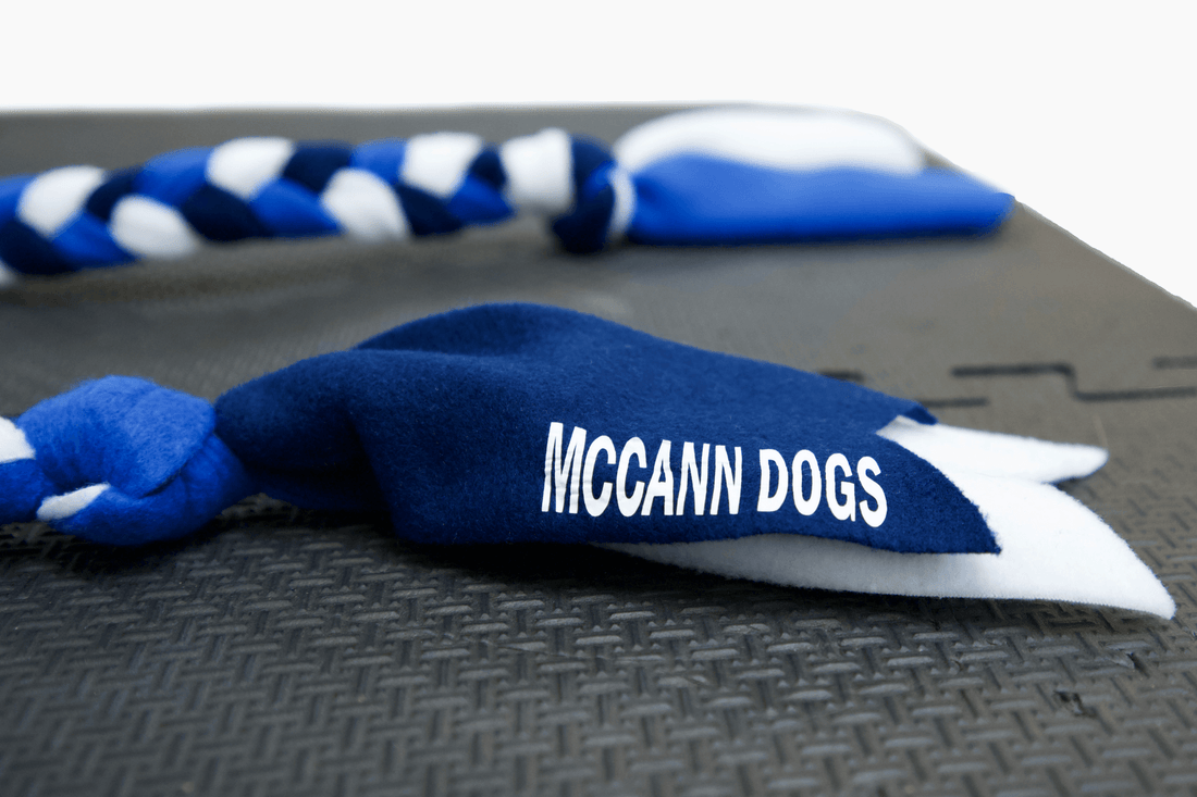 McCann Dogs Puppy Training Tug Toy (Puppy Tug) McCann Professional