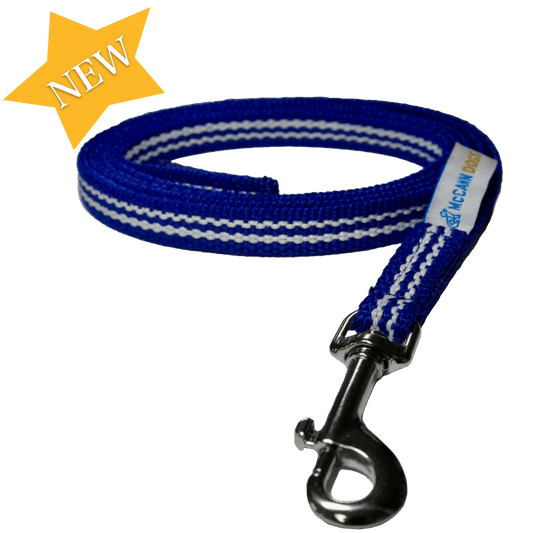 Training Equipment – McCann Professional Dog Trainers