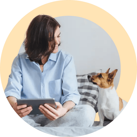 Skill Attention McCann Professional Dog Trainers